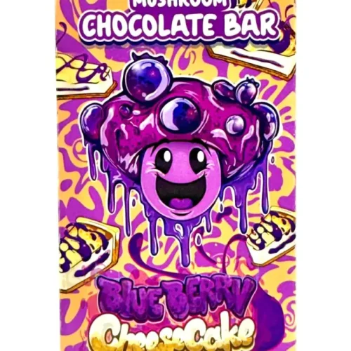 Blueberry Cheesecake Functional Shroom Chocolate Bar