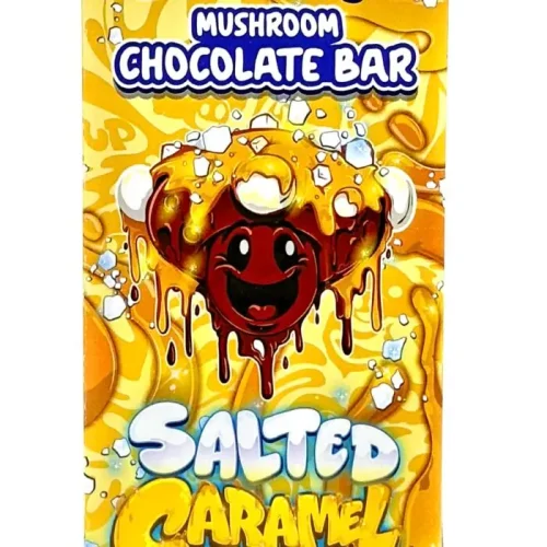 Salted Caramel Functional Shroom Chocolate Bar