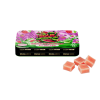SOUR WATERMELON INFUSED GUMMIES
