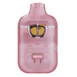 2G BOUTIQ SWITCH – Pina Colada x Blueberry