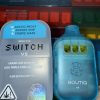 Boutiq Switch V5 (25 packs) Mix Variety